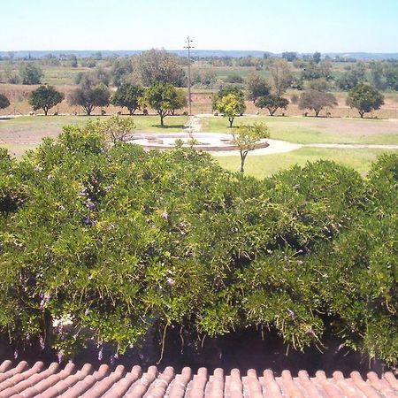 Quinta Do Casalinho Casa de hóspedes Almeirim Exterior foto