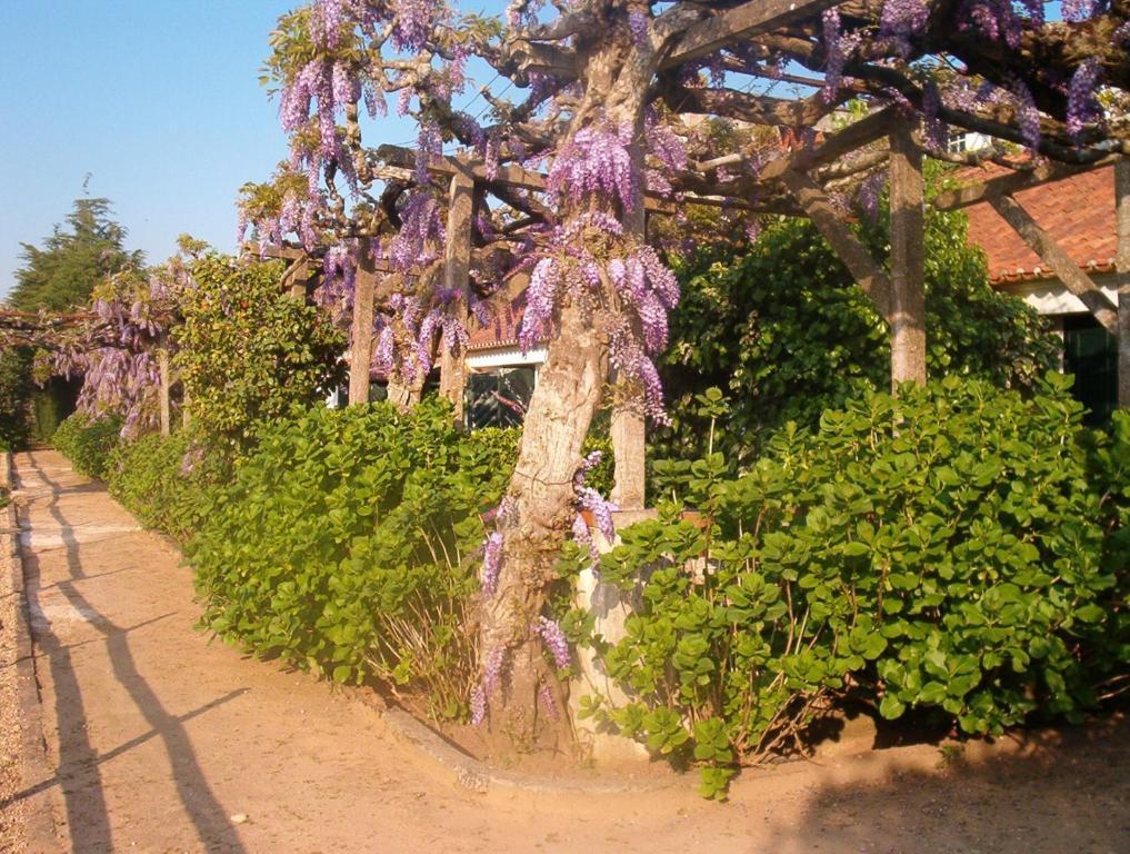 Quinta Do Casalinho Casa de hóspedes Almeirim Exterior foto