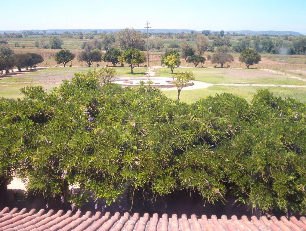 Quinta Do Casalinho Casa de hóspedes Almeirim Exterior foto