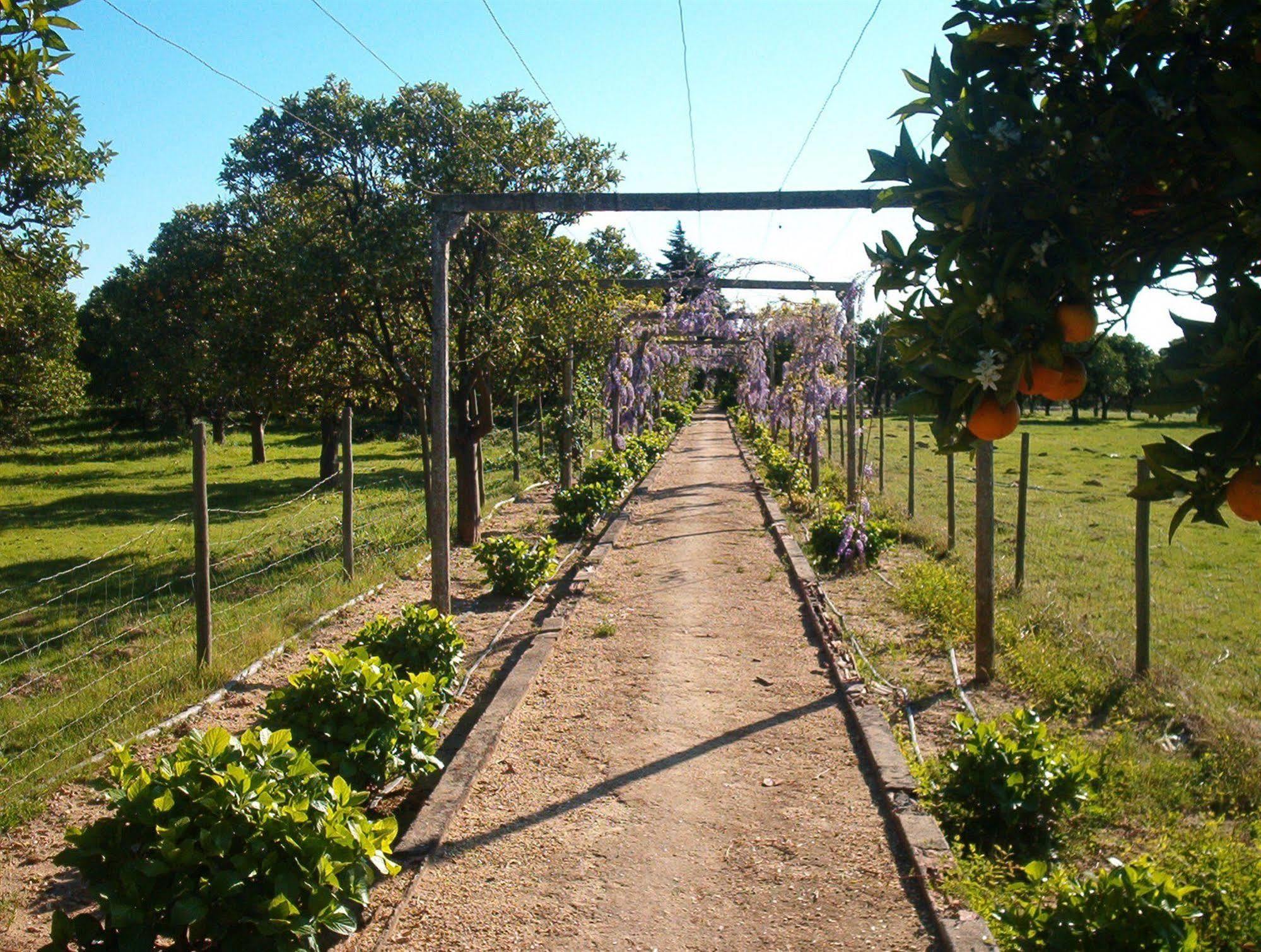 Quinta Do Casalinho Casa de hóspedes Almeirim Exterior foto